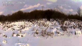 Охота на ондатру мордами, куницу капканами КП-120.(Замёрзли озёра, возможность заняться промыслом ондатры мордами установкой под лёд. Попутно установил капк. 2015-11-11T17:21:55.000Z)