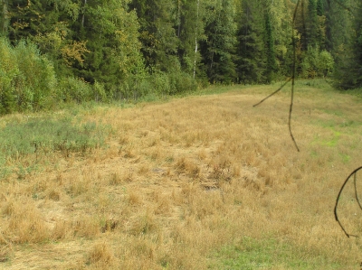 охота на овсах