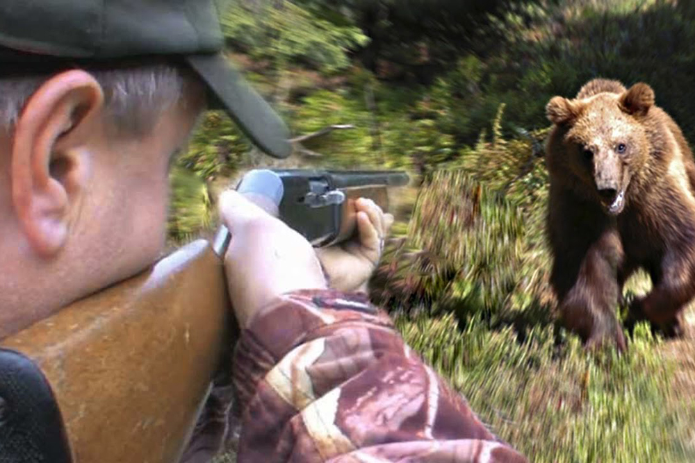 охота на медведя