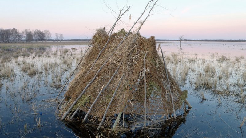 Скрадок для охоты можно собрать из подручных материалов 