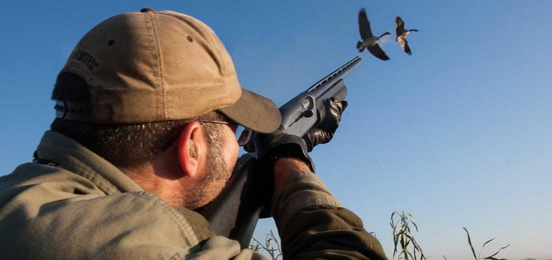 Осенью можно охотиться на утку всеми способами