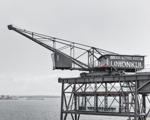 Редкие гости. Предложения со словосочетанием &laquo;редкий гость&raquo; 04