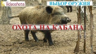 Охота на кабана! Выбор оружия - Videoohota(Охота на кабана! http://www.dyplet.com/ ПОЛЕЗНЫЕ советы по выбору оружия для охоты на кабана. Не существует единого. 2015-12-08T13:59:26.000Z)
