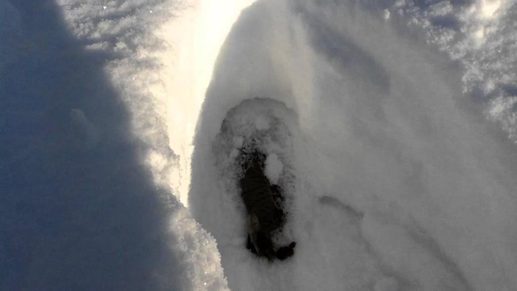 Ловля куропатки в лунку