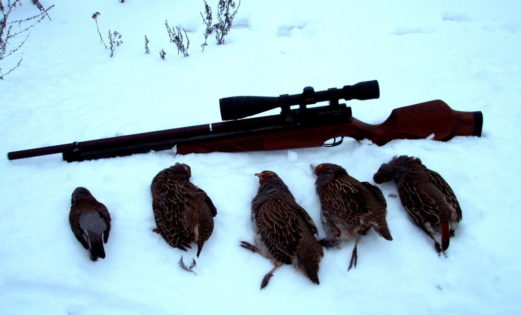 Трофеи зимней охоты