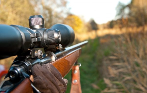 Прицельная стрельба