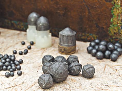 дробь на гуся весной