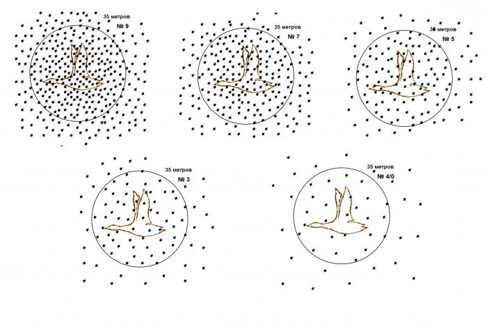 какой дробью стрелять гуся весной