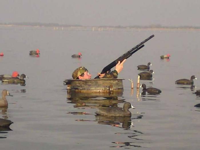  чем стрелять гуся