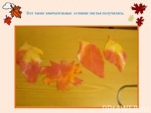 Вот такие замечательные осенние листья получились.