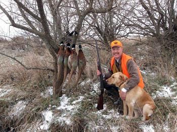 полювання на фазана ціна