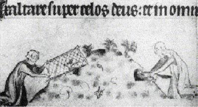 Охота с хорьком