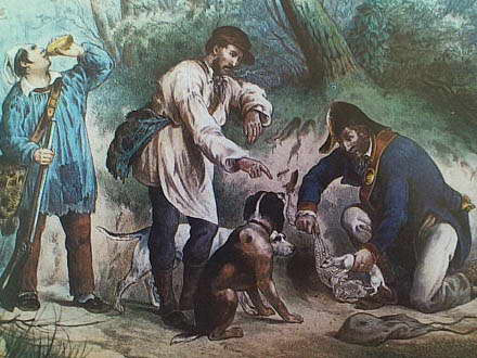 Охота с хорьком