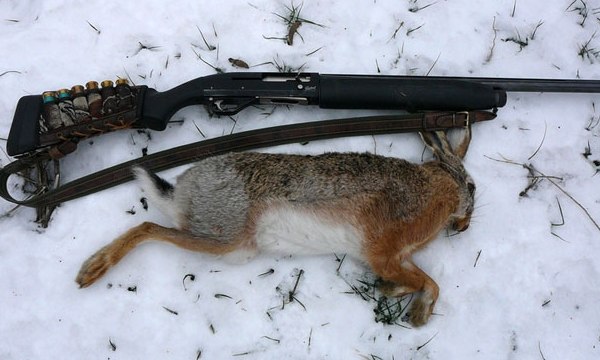 Зимняя охота