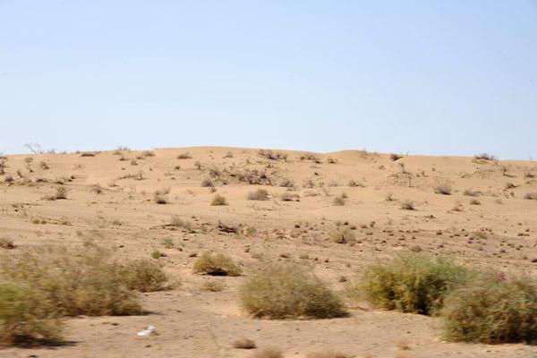 пустыня каракумы