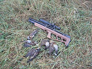 click for enlarge 640 X 480 142,8 Kb picture