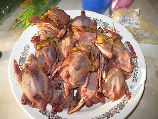 click for enlarge 1024 X 768 270,6 Kb picture