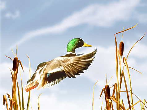 Фото: Fotolia.com 