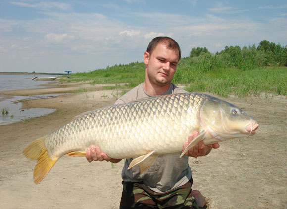 Подводная охота на сазана