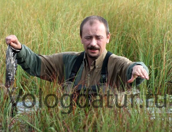 Осенняя охота на уток