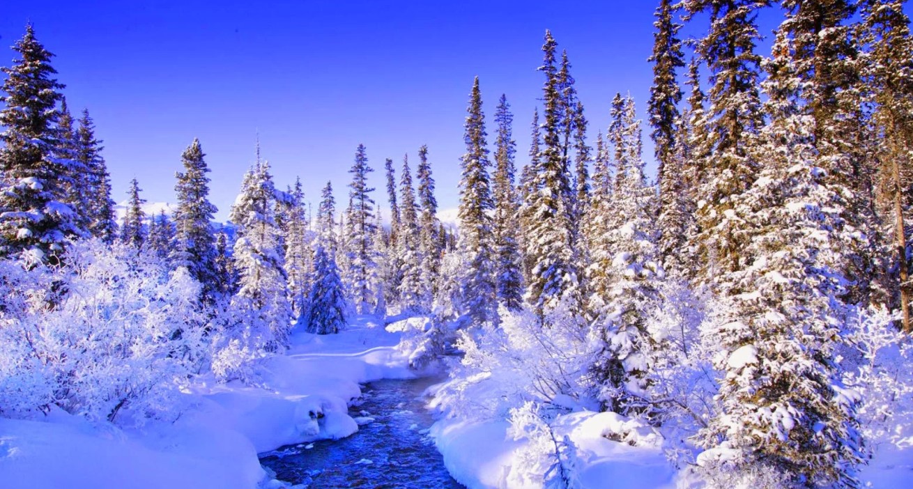 Диктанты на тему зима для пятого класса