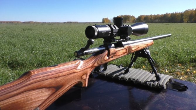 Карабин с оптикой для охоты на барсука