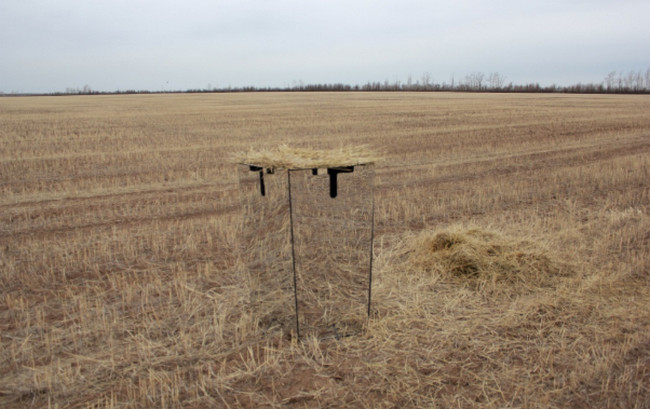 засидка для гуся