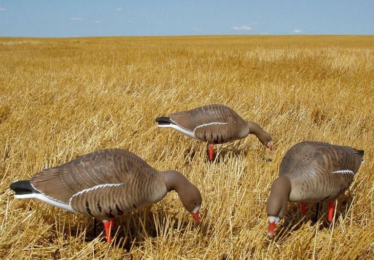 чучела гусей