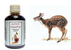 Мускус кабарги