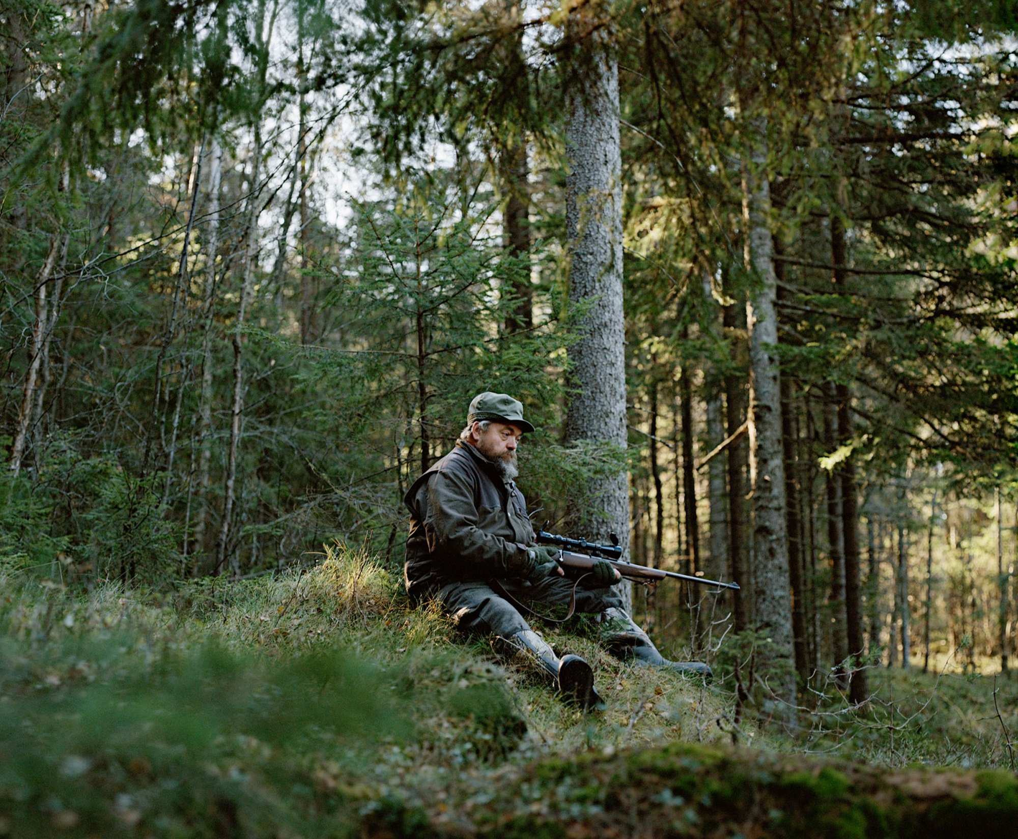 Сезон охоты на косуль