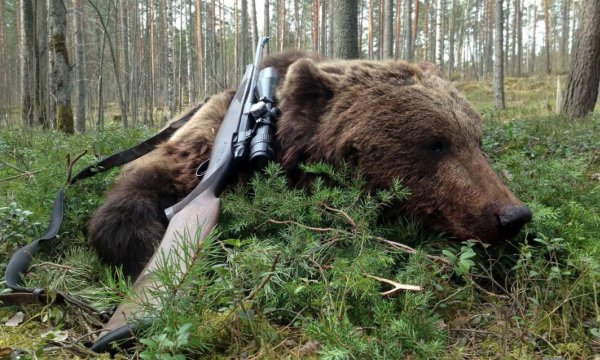 Ценный трофей