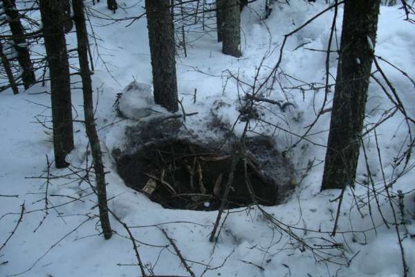 Медвежья берлога