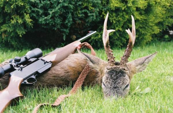 Охотничий трофей