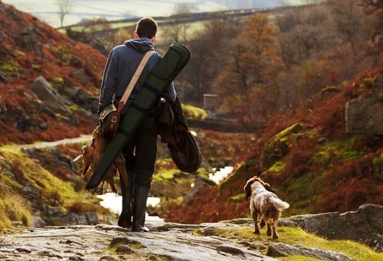 Собака на охоте