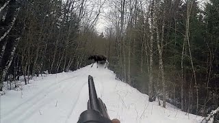 Охота #24 загонная охота на кабана(Охота с удовольствием! В данном видео показаны действия происходящие на охоте, этот видео фильмы является. 2015-02-28T20:08:19.000Z)