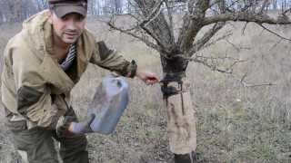 На кабана *Леший* Часть 2(Как сделать приманку на кабана?, 2013-12-14T01:52:29.000Z)