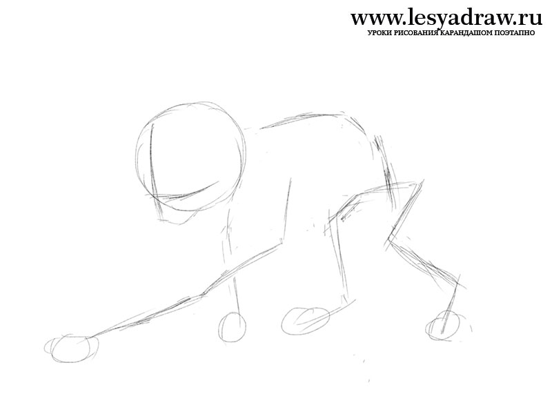 Рисуем играющуюся кошку