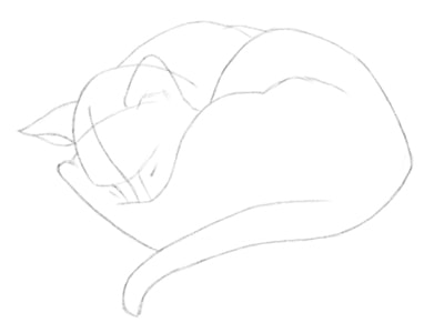 kak-risovat-koshku-karandashom-poetapno-13