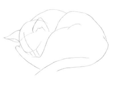 kak-risovat-koshku-karandashom-poetapno-12