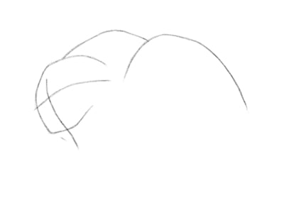 kak-risovat-koshku-karandashom-poetapno-8