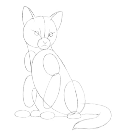 kak-risovat-koshku-karandashom-poetapno-5