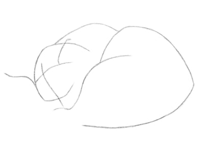 kak-risovat-koshku-karandashom-poetapno-9