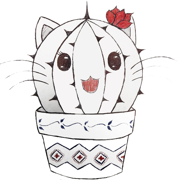 Рисунки кошек