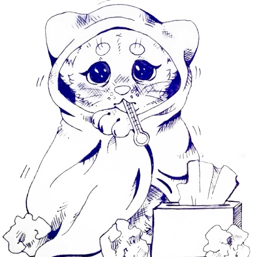 Рисунки кошек