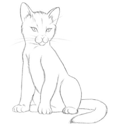 kak-risovat-koshku-karandashom-poetapno-6