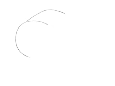 kak-risovat-koshku-karandashom-poetapno-7