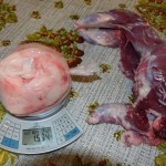 Тушка и жир сурка