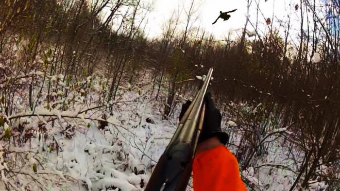 Охота на тетерева с манком