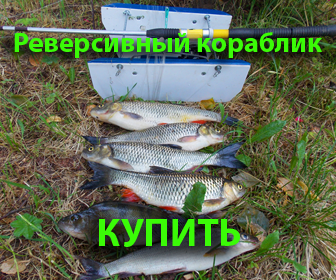 Купить кораблик