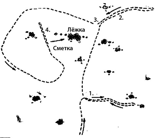 охота на зайца троплением